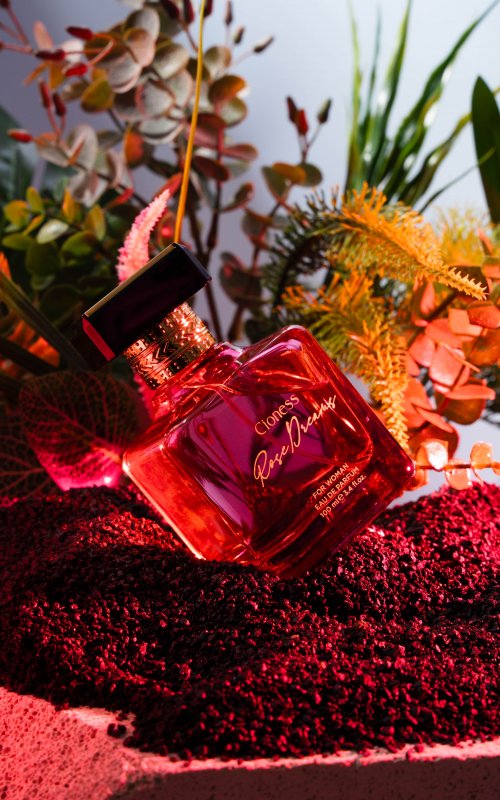 Cioness  Rose Dreams