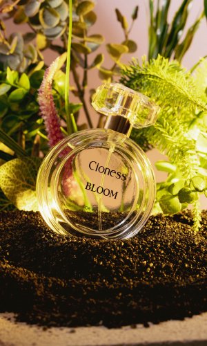 Cioness Bloom