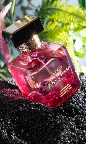Cioness  Rose Dreams