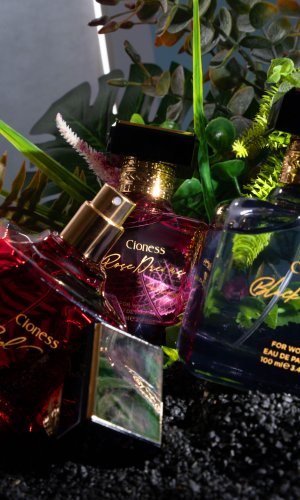 Cioness  Rose Dreams