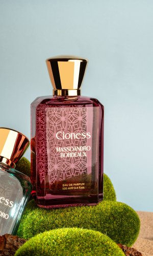 Cioness MASSOANDRO BORDEAUX